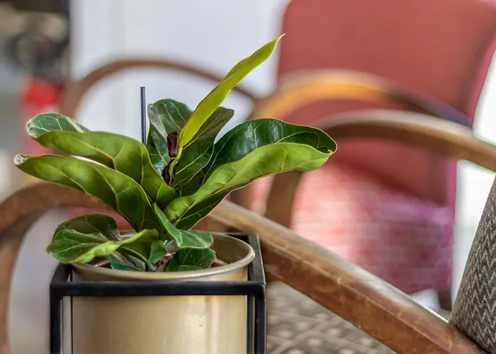 Lägenhet Elegant One-bedroom 500mt From The Fair *